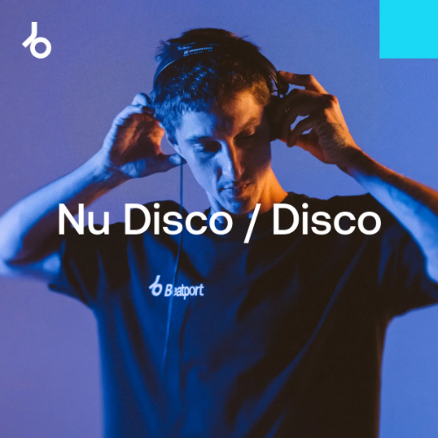 Chart Toppers 2024: Nu Disco / Disco