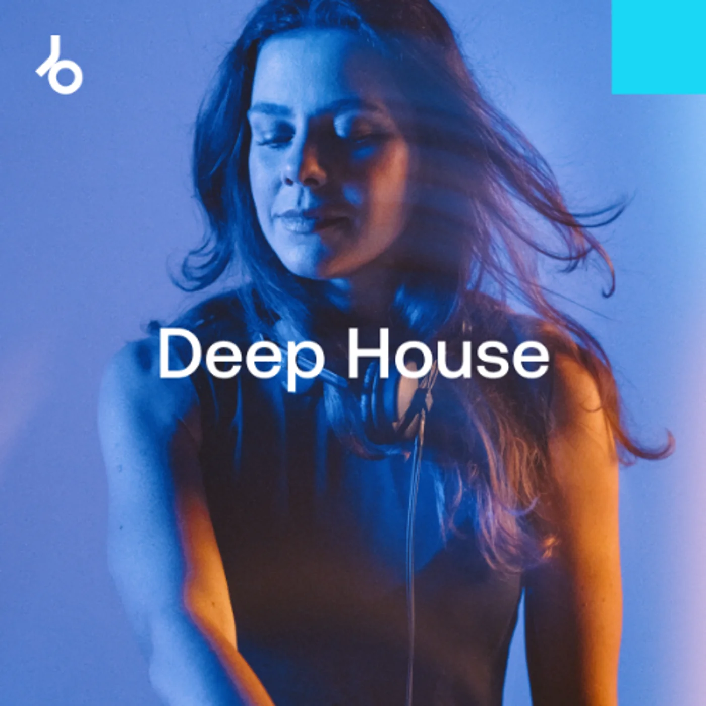 Hype Chart Toppers 2024: Deep House