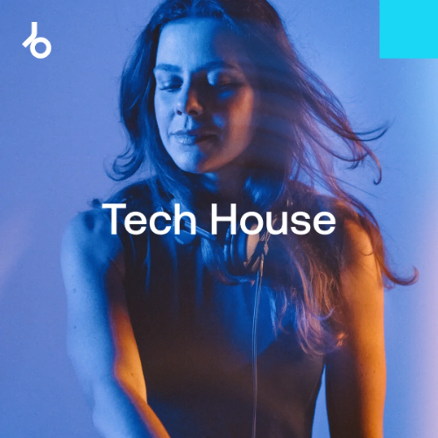 Hype Chart Toppers 2024: Tech House