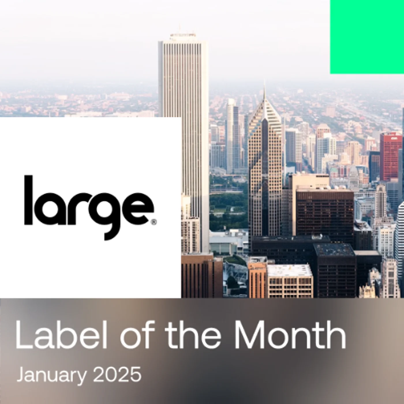 Label of the Month | Large Music