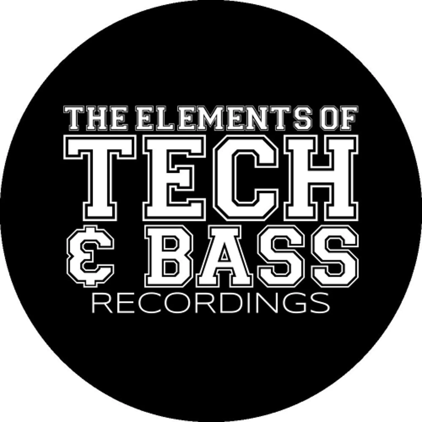 THE ELEMENTS OF TECH & BASS RECORDINS 2025